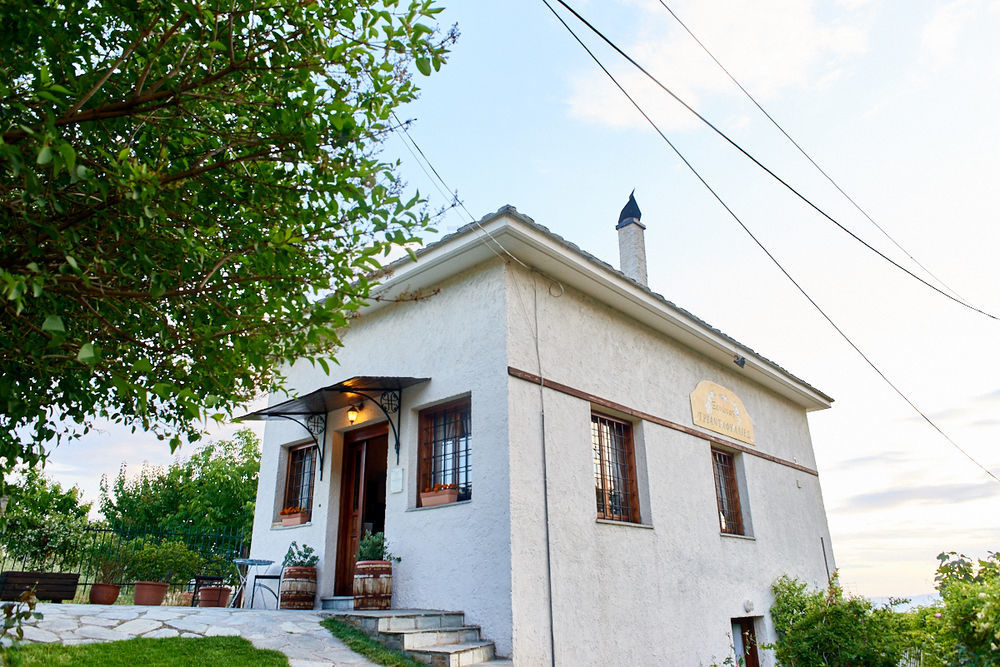 Triantafillies Guesthouse Portaria  Exterior photo