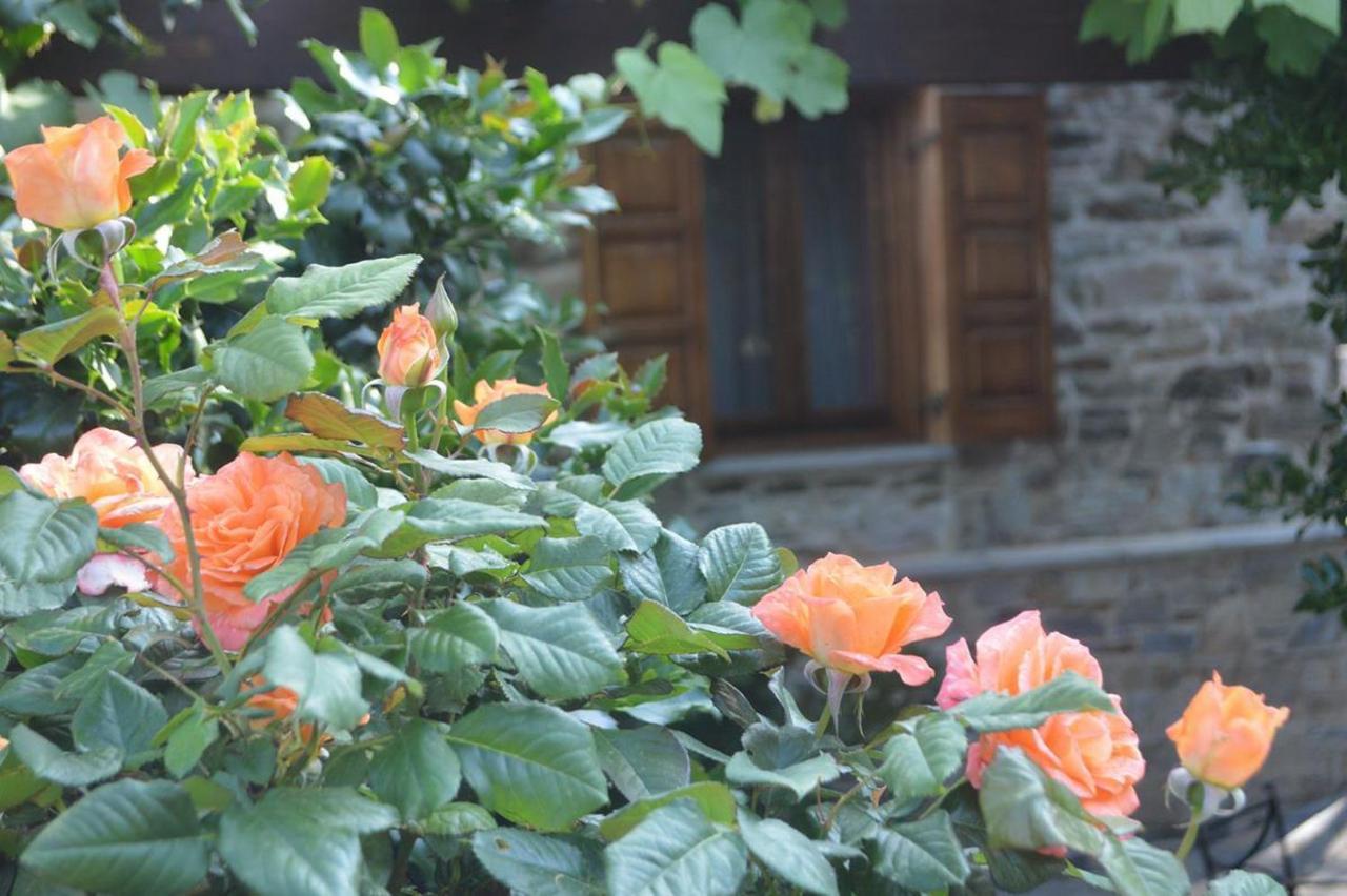 Triantafillies Guesthouse Portaria  Exterior photo