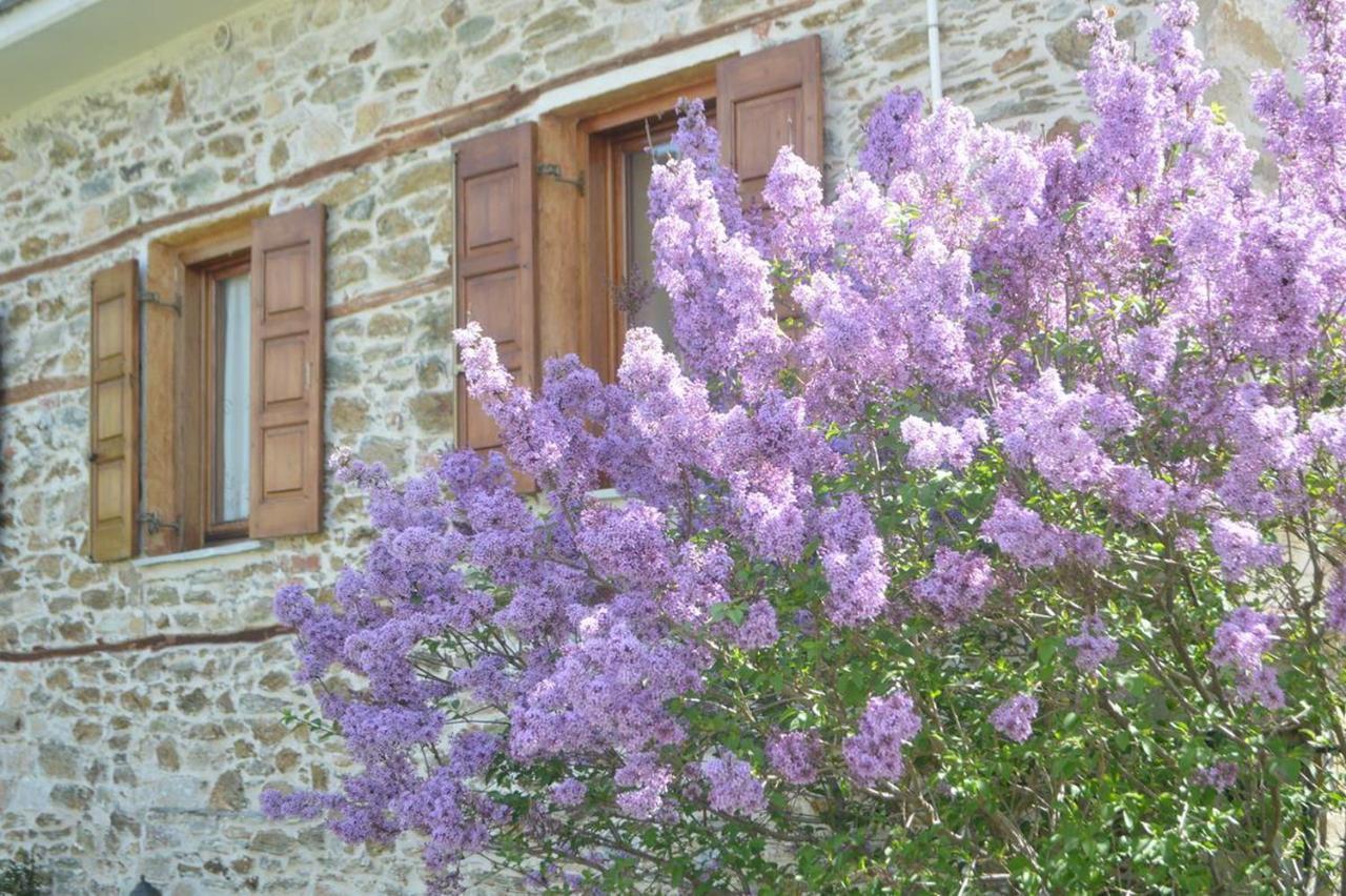 Triantafillies Guesthouse Portaria  Exterior photo